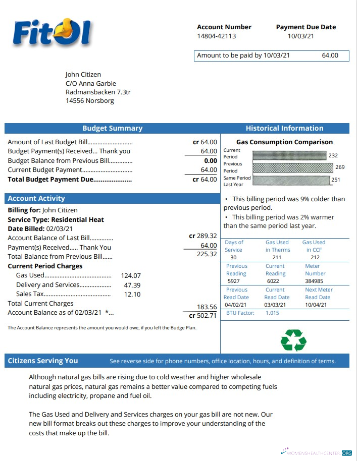 download download Sweden Fitol gas utility bill template in Word and PDF format PDF template PDF template